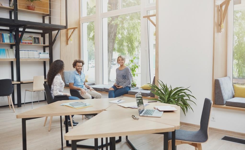 Budgetstyring i praksis